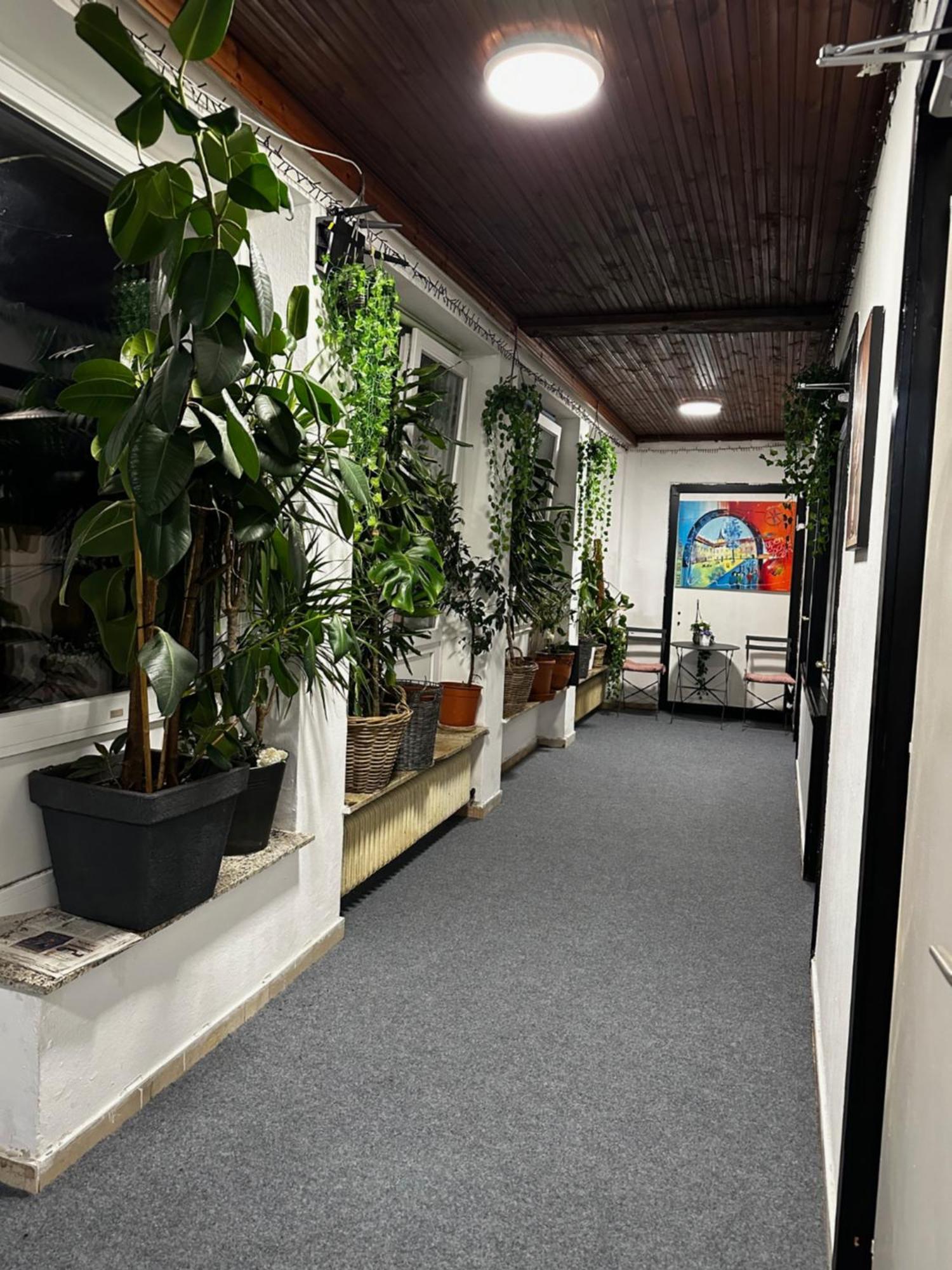 Hostel Lovely Rooms, City Center, Shared Bathroom, Windows To Corridor Villach Dış mekan fotoğraf